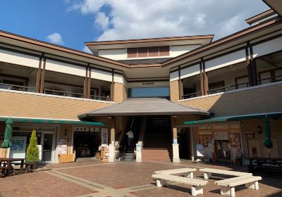 Izu Highlands