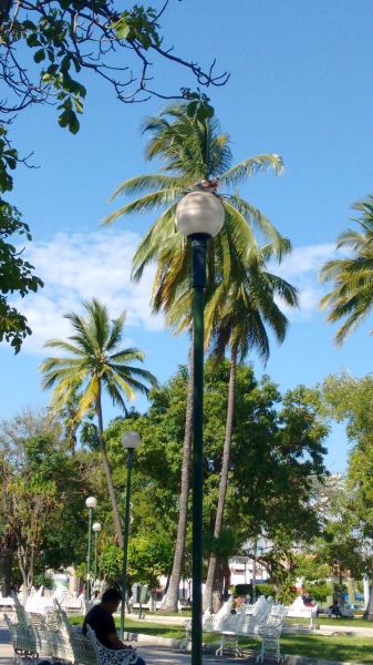 Punta Cana to Colima Flights