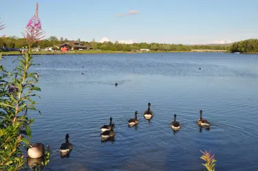 Parc Bryn Bach