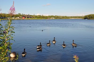 Parc Bryn Bach