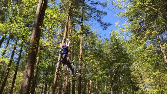 Boundless Adventures Zipline and Aerial Park