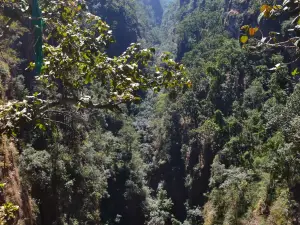 Handi Khoh, MP