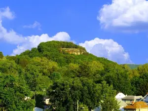 Rising Park