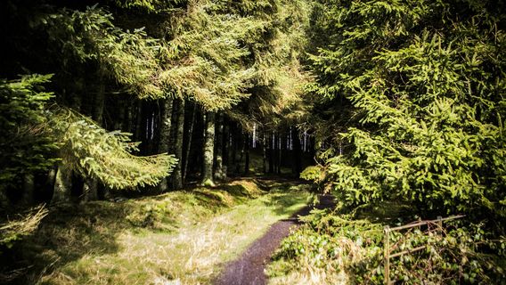 Llyn Brenig Visitor Centre