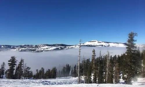 Sugar Bowl Resort