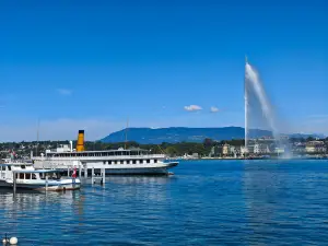 The Geneva Water Fountain