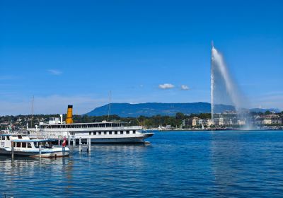 The Geneva Water Fountain