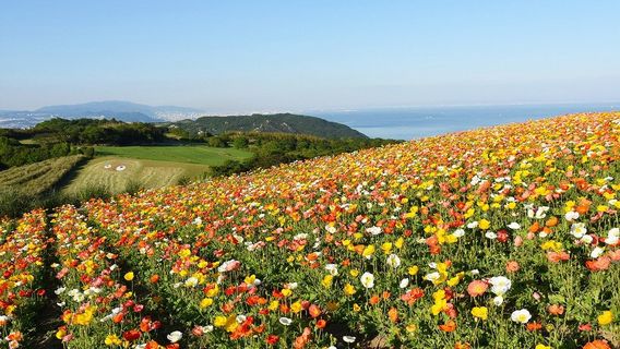 Awaji