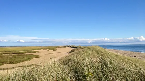 Herring Cove Beach