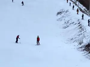 Brantling Ski Slopes Inc