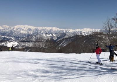 Kagura Ski Resort