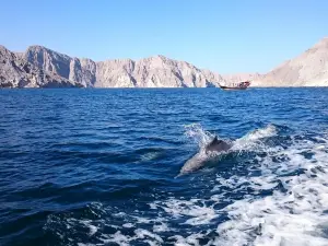 Oman Fjords