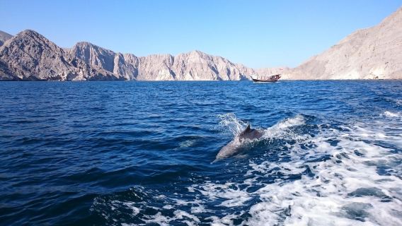 Oman Fjords