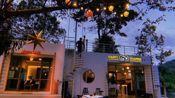 The Snapper : happy snapper 2.0