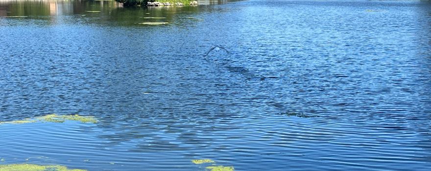 Menominee Park