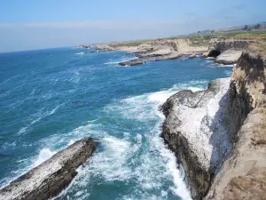 Wilder Ranch State Park