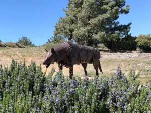 California Wolf Center