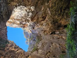 Yarrangobilly Caves