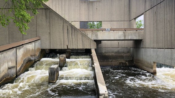 Fish Ladder Park