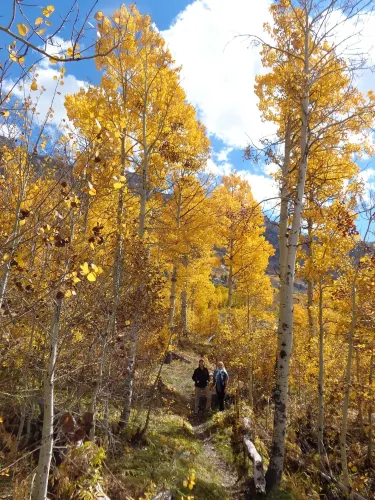 Elko