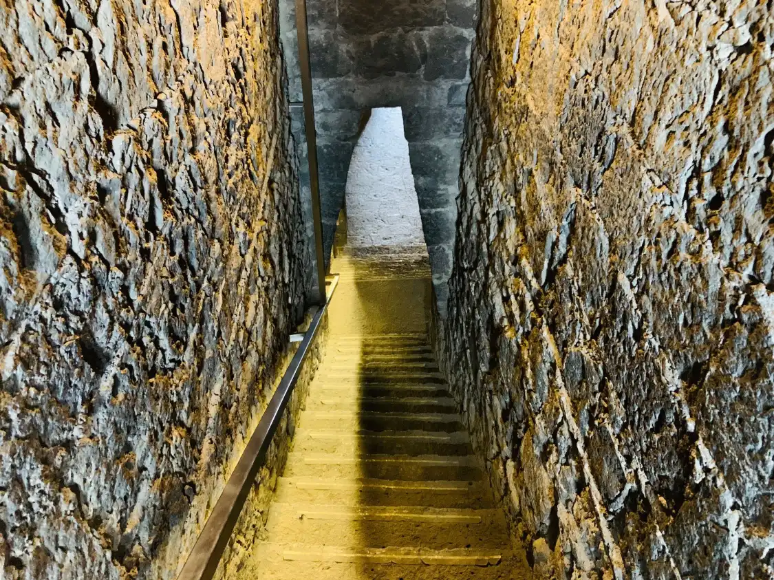 Hotels near Museo Anahuacalli