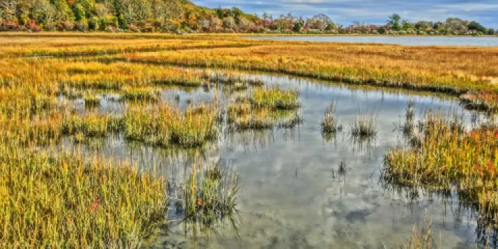 Mass Audubon's Allens Pond Wildlife Sanctuary