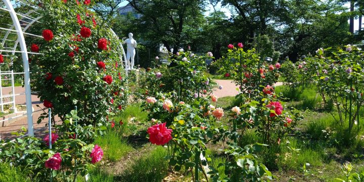 Kaiseiyama Park
