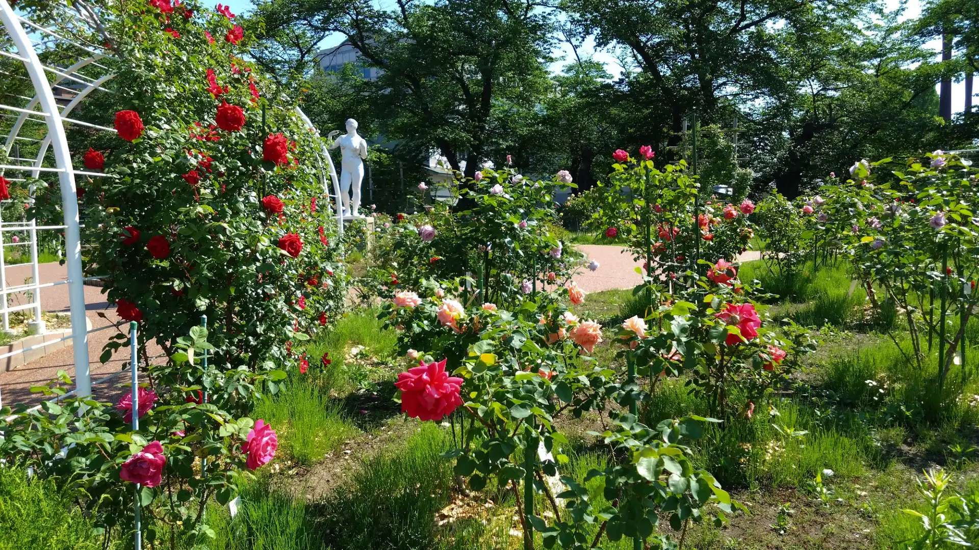 Hotels near Kaiseiyama Park