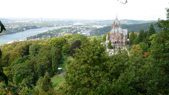 Drachenfels