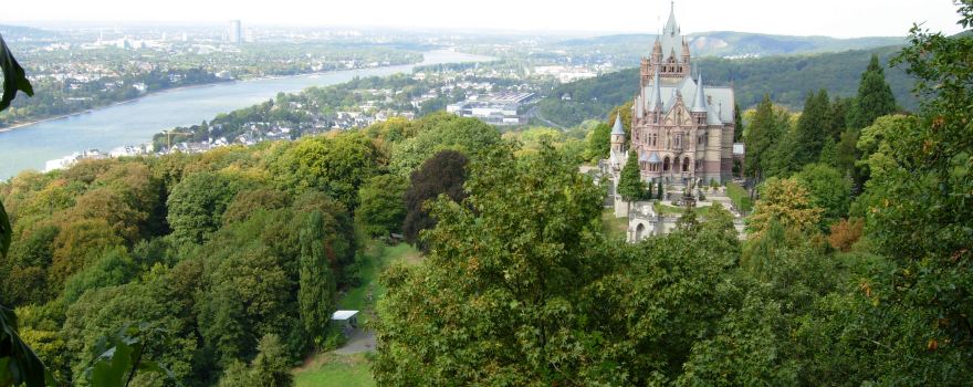 Drachenfels