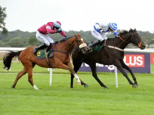 Bangor-on-Dee Racecourse