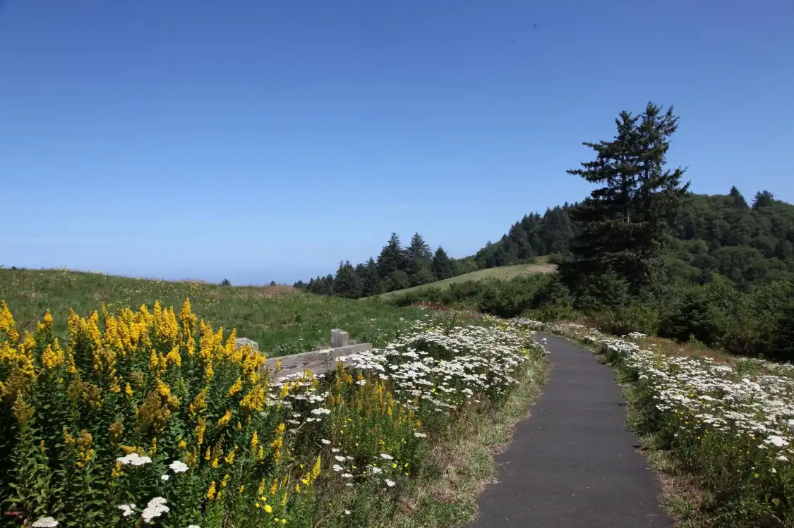 Hotels near Nestucca Bay National Wildlife Refuge