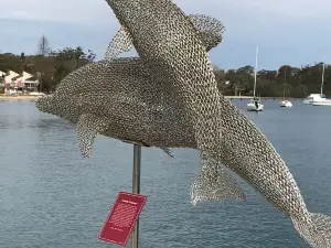 Medowie Macadamias