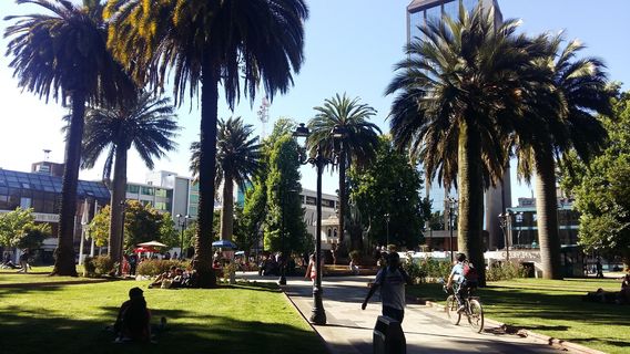 Temuco