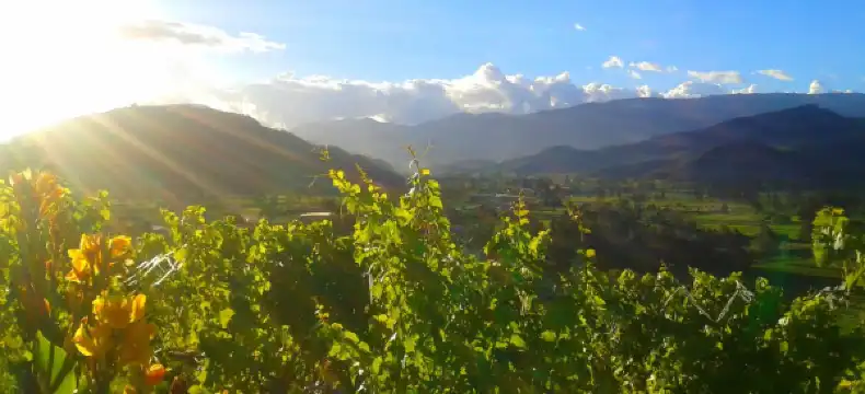 Hotels in Nobsa