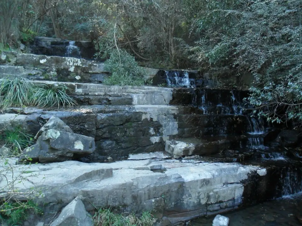 4_Arboretum Hogsback