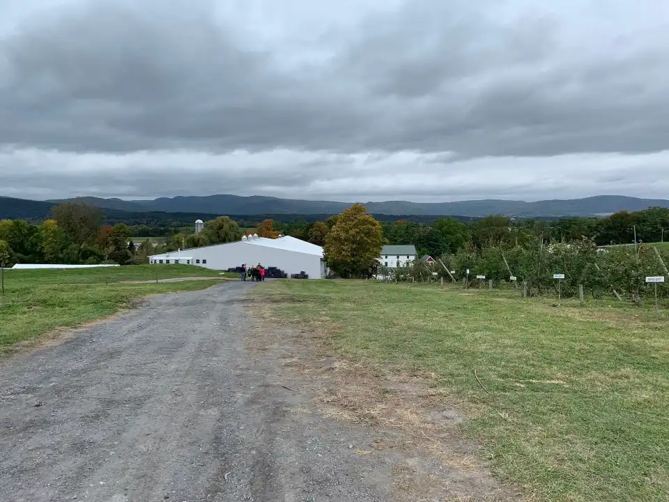 5_Champlain Orchards
