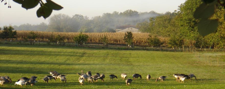 Ferme Andrévias