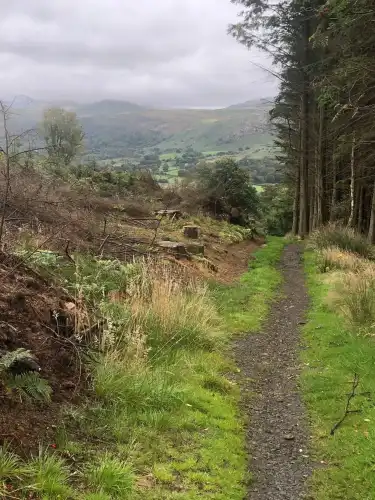 Hotels in Lower Allithwaite