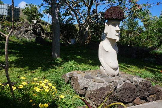 Botanical Garden TauKiani