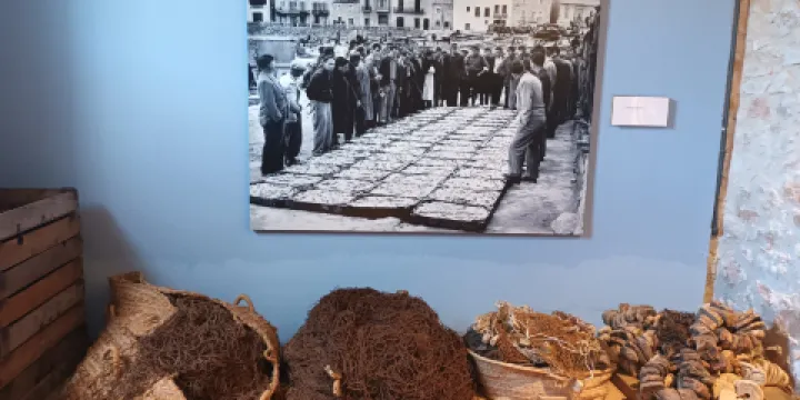 Museu de l'Anxova i de la Sal