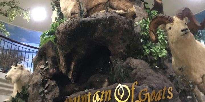 Rahmat International Wildlife Museum & Gallery