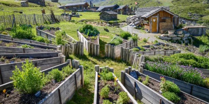 Ferme Pedagogique Chez Pepe Nicolas