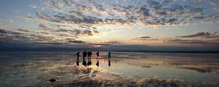 Niedersaechsisches Wattenmeer National Park