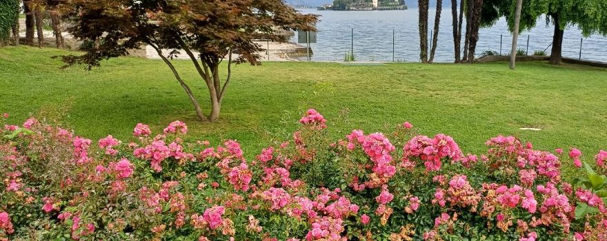 Lungolago Stresa