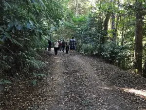 Cottan National Park
