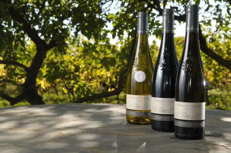 Các khách sạn ở Le Champ-sur-Layon