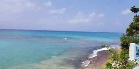 St. Francis of Assisi