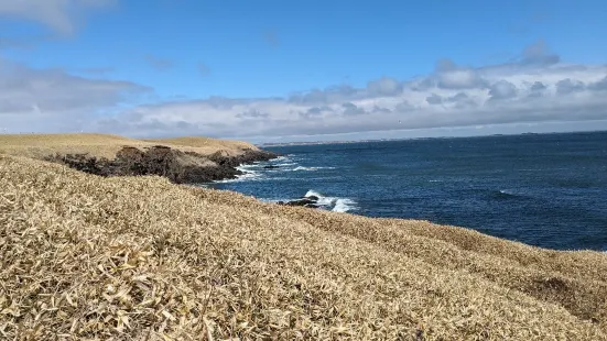Hanasaki Lighthouse and Stone Wheel
