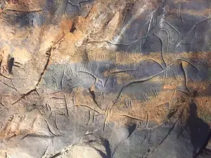 Cuevas de Candamo